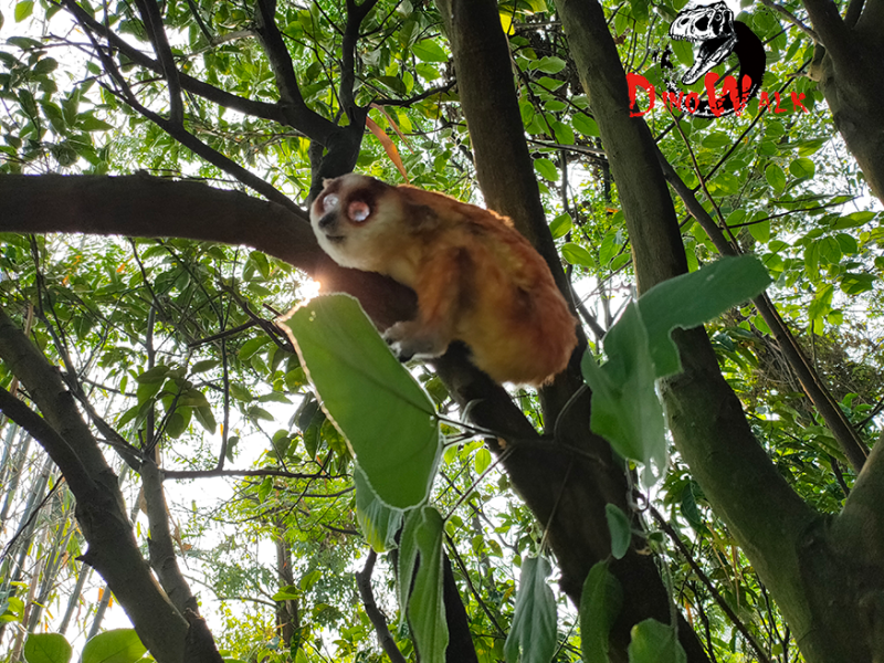 仿真動物雕塑_蜂猴